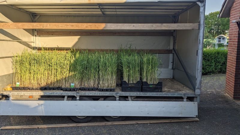 ASV Humpert Gewässerverbesserer 800x