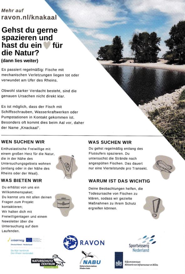 Knakaale 2 2023 400x